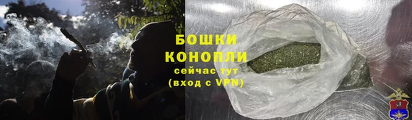 стаф Магас