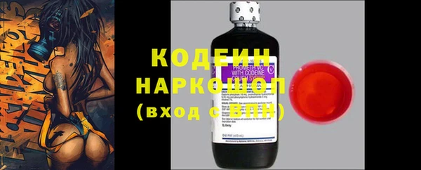 ГАЛЛЮЦИНОГЕННЫЕ ГРИБЫ Майский