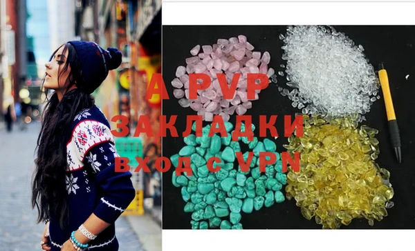 стаф Магас