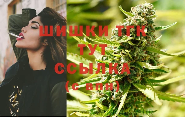 ГАЛЛЮЦИНОГЕННЫЕ ГРИБЫ Майский