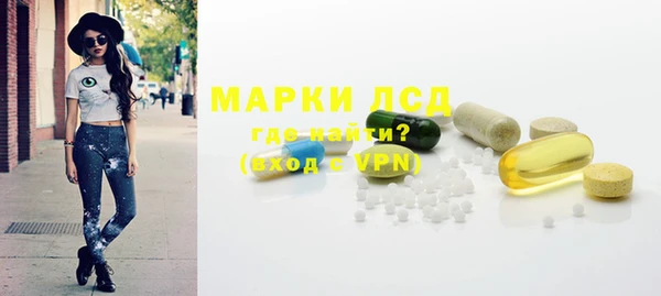 стаф Магас