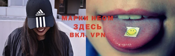 стаф Магас