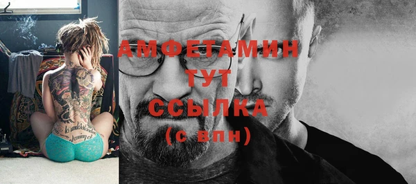 стаф Магас