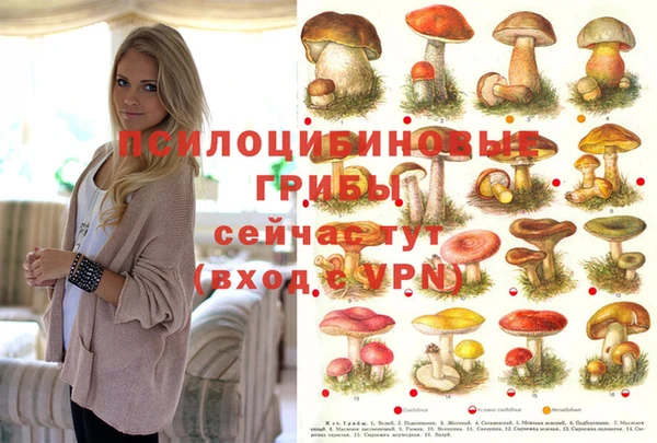 амф Лиски