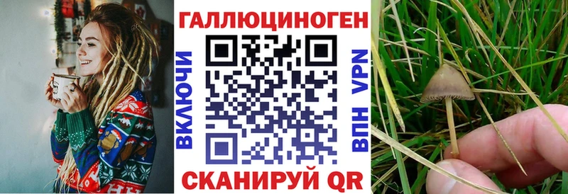 Псилоцибиновые грибы MAGIC MUSHROOMS  МЕГА онион  Михайлов 